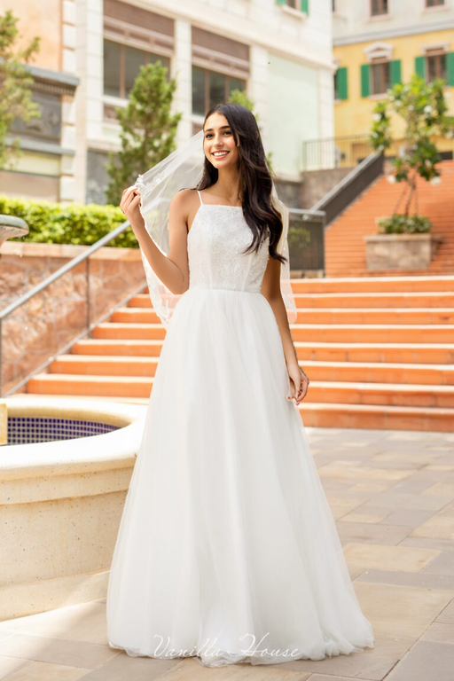 Beaded bodice dress with a mesh veil